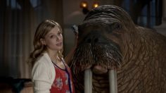 poster-22359-skittles-the-walrus-236x132