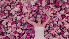 poster-22815-dior-miss-dior-la-vie-en-rose-236x132
