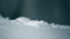 poster-23118-national-geographic-channel-alaska-236x132