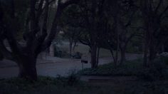 poster-23376-nike-possibilities-236x132