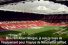 poster-24214-nike-cristiano-et-albert-68x45