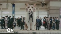 poster-24726-fit-s-link-le-chat-236x132