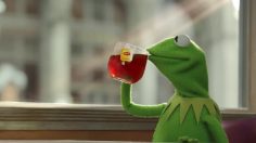 poster-24803-lipton-kermit-236x132