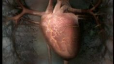 poster-2492-xbox-360-le-coeur-vert-236x132