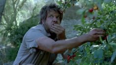 poster-25167-directv-don-t-chase-imaginary-butterflies-236x132