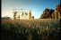 poster-2539-hornbach-youpi-youpi-ya-ya-68x45