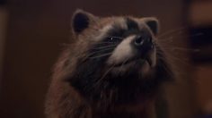 poster-25459-schneider-electric-raccoon-dance-party-236x132