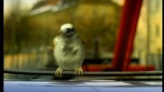 poster-2990-lvb-sparrow-236x132