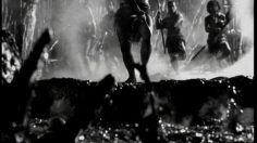 poster-323-adidas-haka-236x132