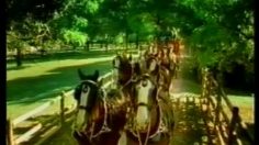poster-3853-budweiser-l-ane-236x132