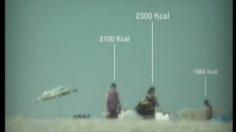 poster-3884-discovery-channel-les-calories-236x132