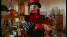 poster-4314-wizard-les-ornementales-le-chien-236x132