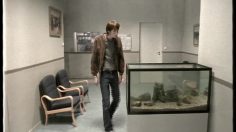 poster-459-feed-aquarium-236x132