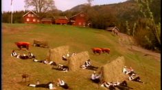 poster-4758-norwegian-farmers-union-tourists-236x132