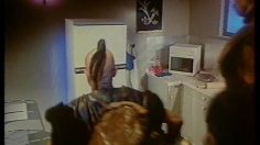 poster-4829-radiola-refrigerateur-frederic-mitterrand-contre-les-huns-236x132