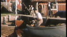 poster-4849-trygg-hansa-le-bateau-236x132
