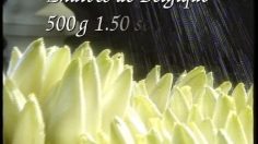 poster-5037-migros-supermarche-les-endives-236x132