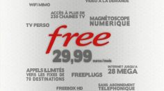 poster-5305-free-freebox-le-feu-236x132