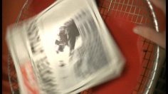 poster-5462-quick-koloss-giant-godzilla-236x132