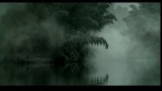 poster-5717-toyota-crown-bamboo-forest-236x132