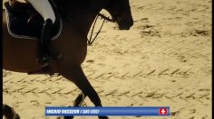 poster-5928-equidia-equidia-fr-saut-d-obstacles-236x132