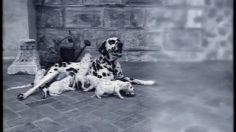 poster-6200-citroen-xantia-break-les-dalmatiens-236x132