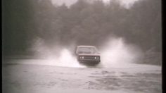 poster-6968-fiat-remy-julienne-236x132