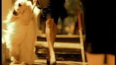 poster-7567-women-s-health-chien-jaloux-236x132