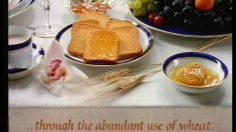 poster-8708-barilla-mulino-bianco-venise-236x132