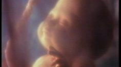 poster-8849-volkswagen-golf-le-foetus-236x132