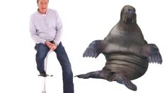 poster-14695-anthropomorphisme-sports-de-raquette-festivals-de-cinema-2010-01-03-236x132