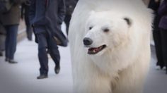 poster-25899-fortitude-polar-bear-roams-london-236x132