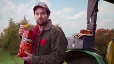 poster-25907-doritos-when-pigs-fly-236x132
