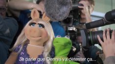 poster-26399-audi-kermit-gets-set-up-236x132