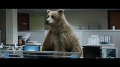 poster-26774-center-parcs-bears-236x132