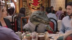 poster-27098-geico-alligator-arms-236x132