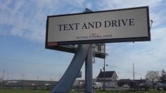 poster-27269-john-st-securite-routiere-text-and-drive-236x132
