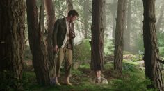 poster-27344-old-spice-woods-236x132