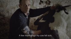 poster-27369-bicky-the-bicky-beef-miracle-236x132