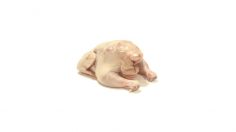 poster-27710-logo-tv-twerk-your-turkey-236x132