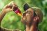 poster-27997-coca-cola-pool-boy-68x45