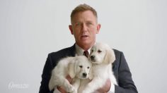 poster-28015-aston-martin-omaze-daniel-craig-and-puppies-236x132