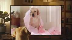 poster-28206-andrex-75th-anniversary-236x132