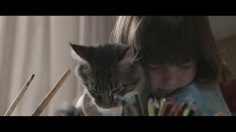 poster-28269-whiskas-iris-thula-236x132