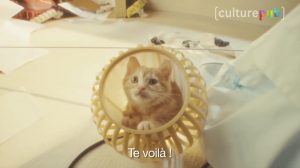 poster-28415-chaton-apocalypse-et-energie-solaire-2017-06-08-300x168