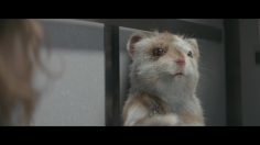 poster-28499-kia-soul-turbo-the-turbo-hamster-has-arrived-236x132