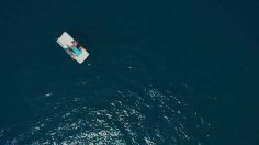 poster-28615-bouygues-telecom-le-pedalo-236x132
