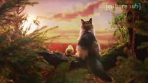poster-28677-chaton-religion-et-genetique-2017-09-13-300x168