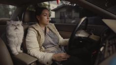 poster-28902-used-car-commercial-1996-honda-accord-236x132