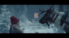 poster-28935-fotex-rollo-the-reindeer-236x132